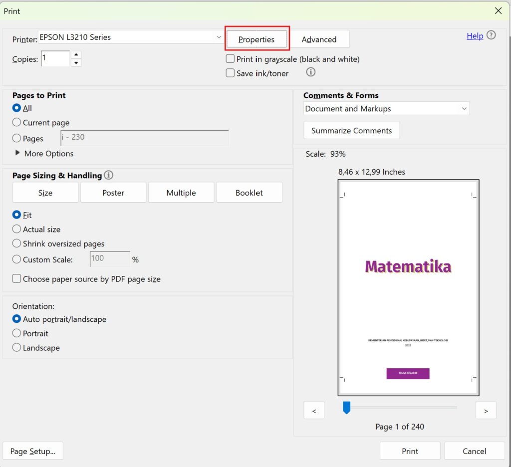 Properties Print PDF