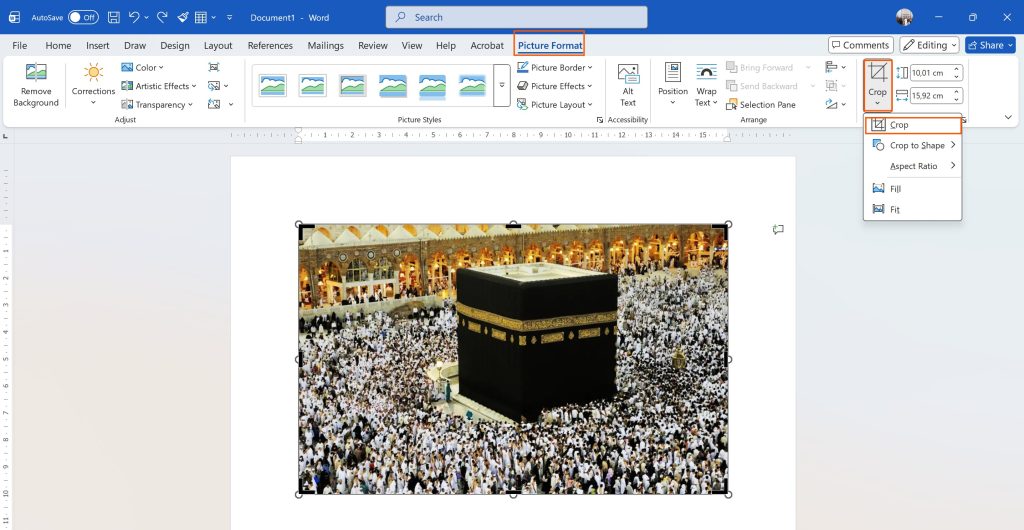 Crop ms word 2